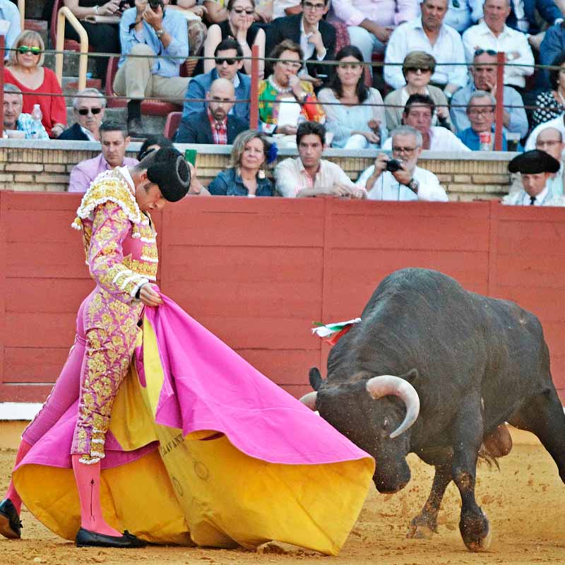 Bullfighting Cordoba