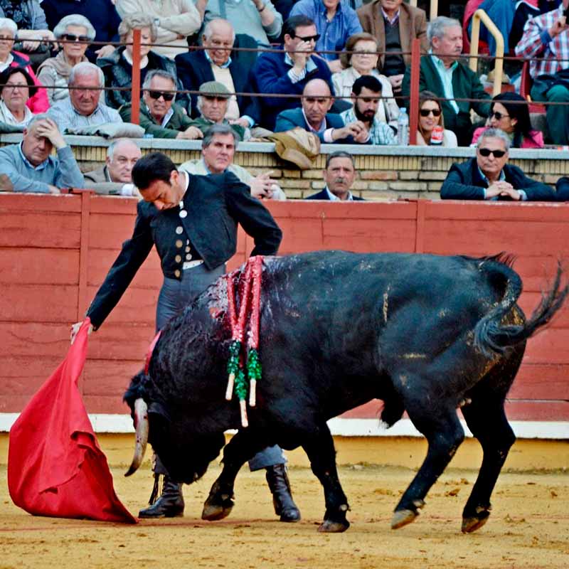 Corrida de toros en Córdoba
