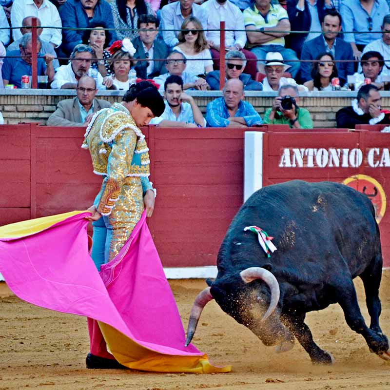 torero en la Feria de Córdoba