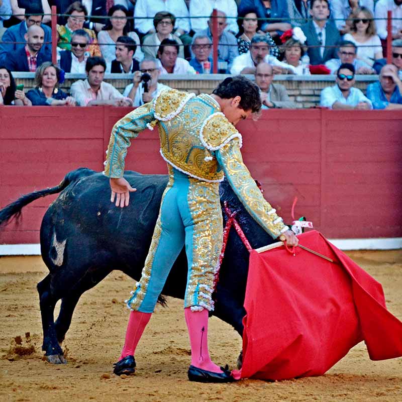 toros en Córdoba