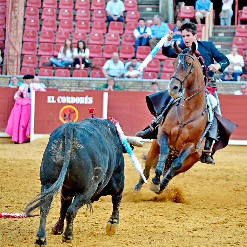 bullfighting show Cordoba