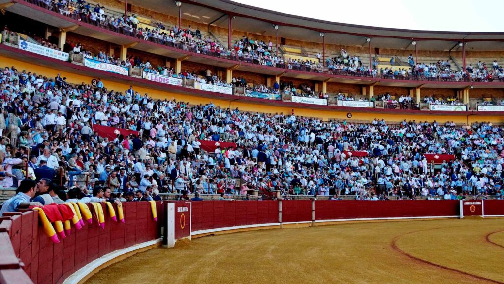 Carteles toros Feria taurina de Córdoba 2025